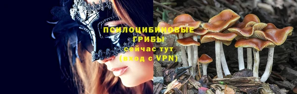 ПСИЛОЦИБИНОВЫЕ ГРИБЫ Арсеньев