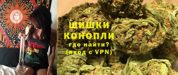 ПСИЛОЦИБИНОВЫЕ ГРИБЫ Арсеньев