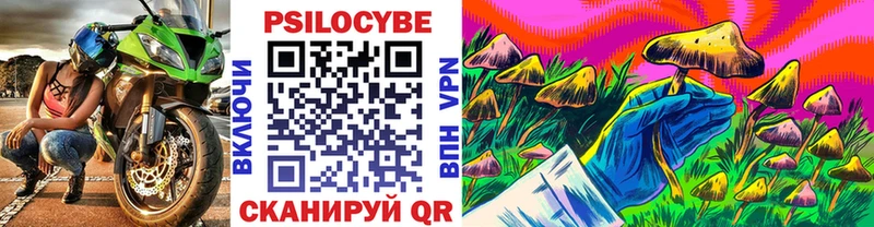 ссылка на мегу ссылки  где купить наркоту  Чернушка  Псилоцибиновые грибы MAGIC MUSHROOMS 