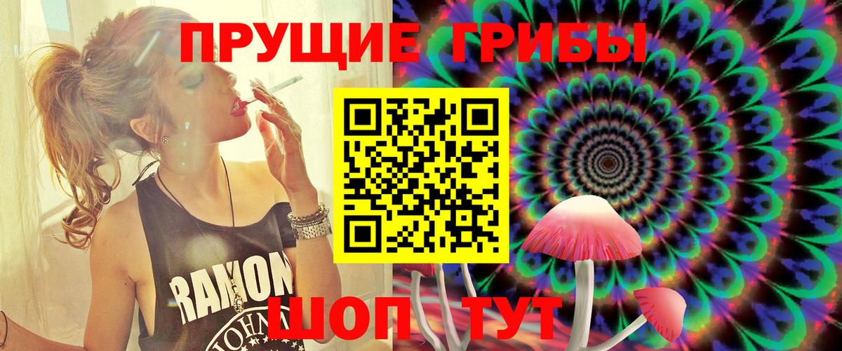 Галлюциногенные грибы GOLDEN TEACHER Чернушка
