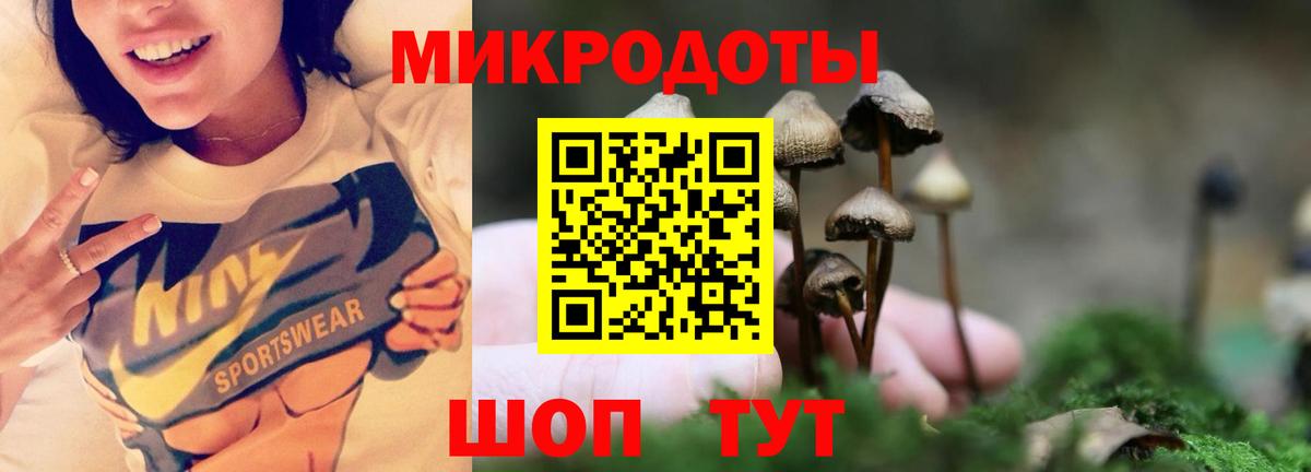 Галлюциногенные грибы прущие грибы  Вход с VPN  Псилоцибиновые грибы Psilocybe  Чернушка 