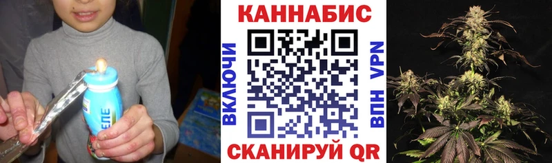 Каннабис ГИДРОПОН Чернушка